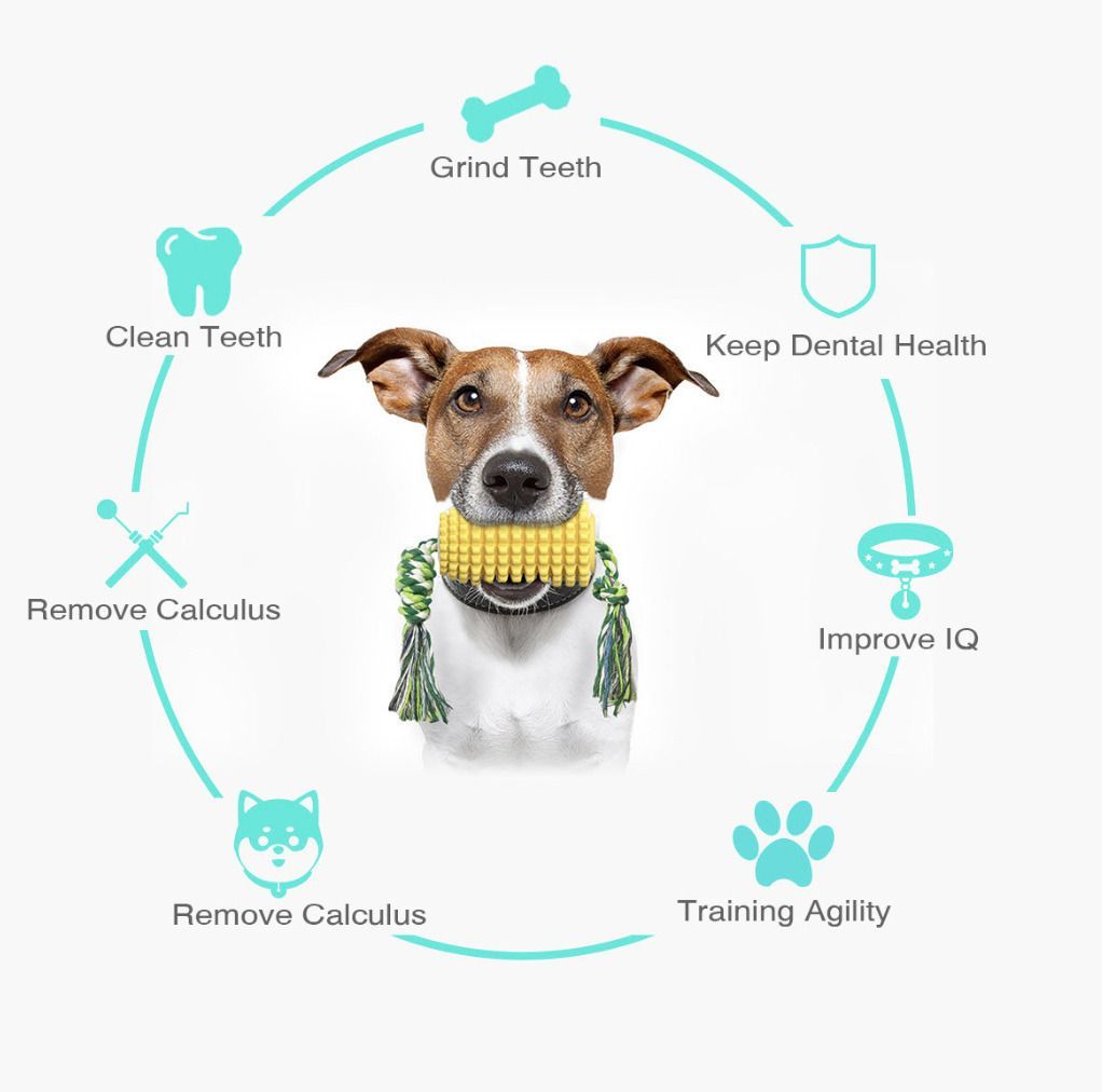 HK230221CWYW00094RMN01_9