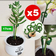 Plant fixed anti-lodging flower stand gardening support single pole outdoor garden rose climbing hydrangea flower support stand 5 sets of flower pot flower stand