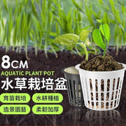 水草栽培盆 水草盆 透氣盆 花盆 多肉盆 水耕盆 育苗盆 植物盆 水培植籃 無土栽培(白/3英吋)