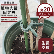 10大10小!植物支撐固定夾|生長保護 防止長歪 防滑設計 不易脫落|園藝必備 多用途夾子 安全植物固定夾 花夾 嫁接夾 藤蔓枝蔓夾 蘭花夾 戶外花園露台盆栽/花卉/多肉固定保護架(共20個)