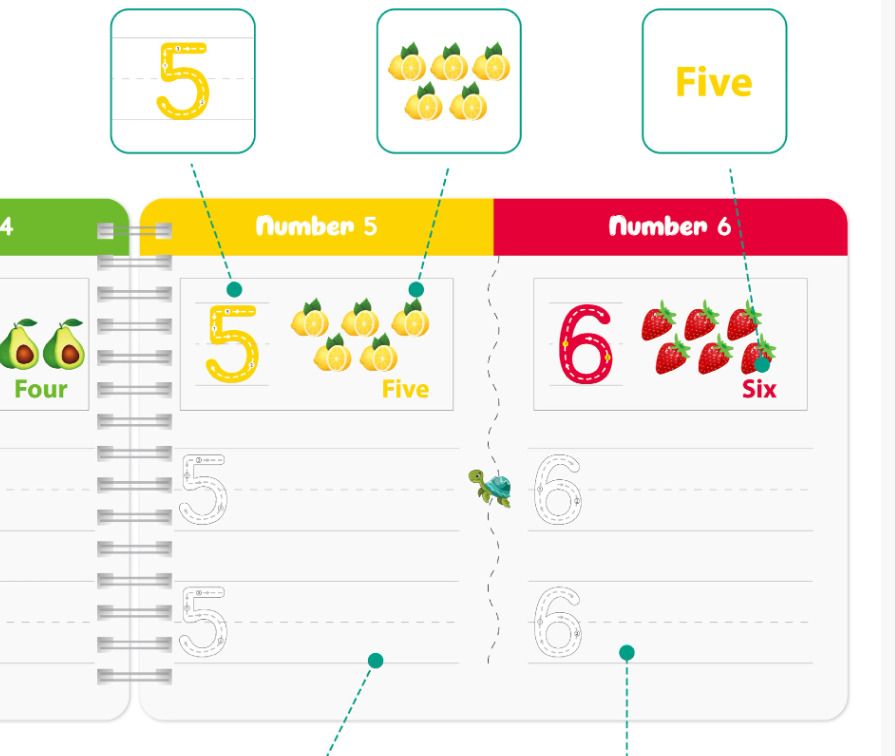 HK241230JJQT13671RMN01_1