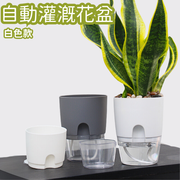 【中號白色】透明雙層自動灌溉花盆 簡約創意自吸水花盆 透明塑料花盆