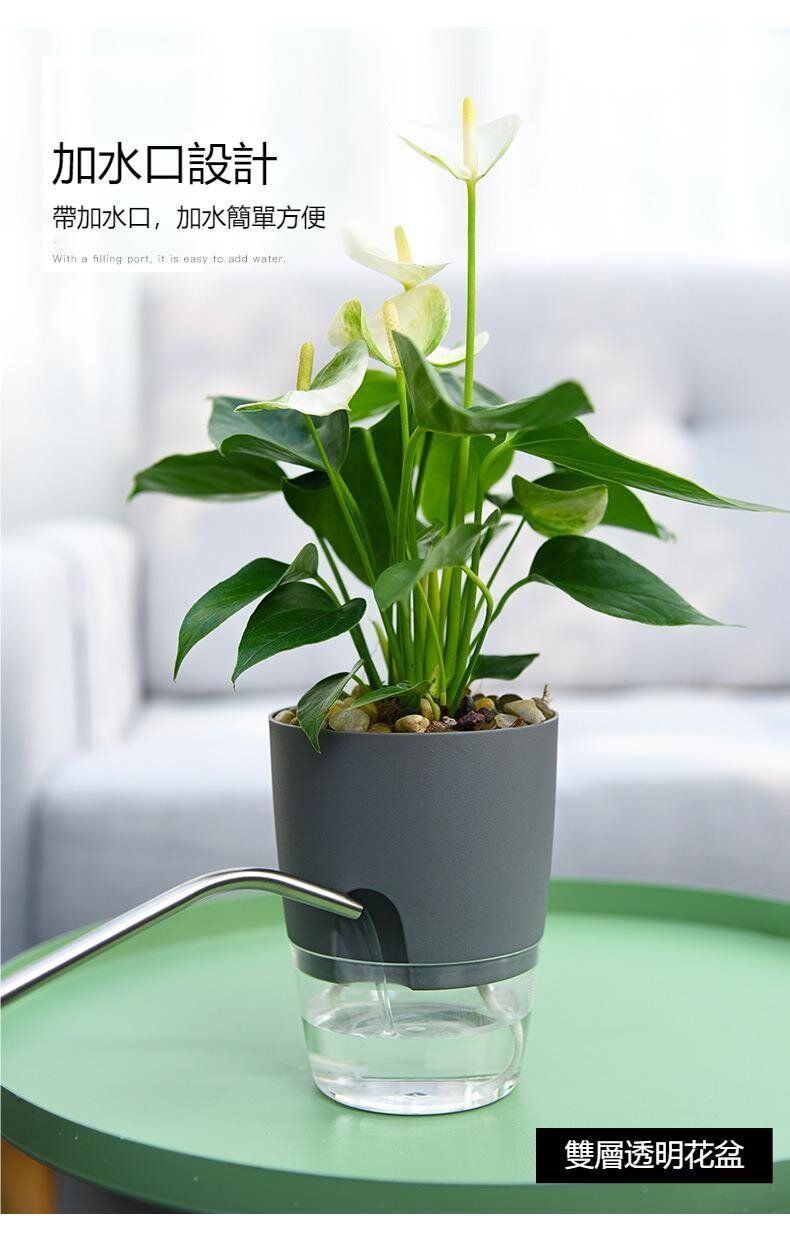 HK250527JJQT14798RMN01_6