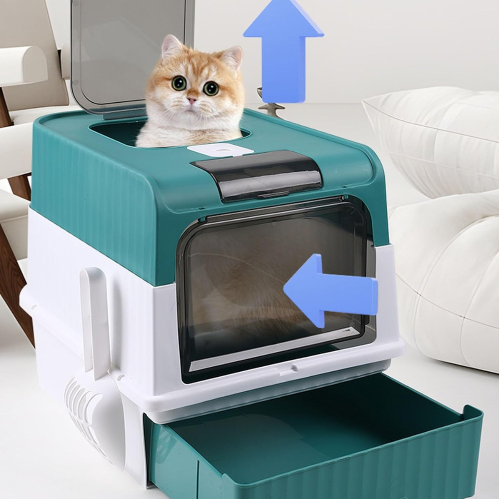 HK250702JJQT15083RMN01_4