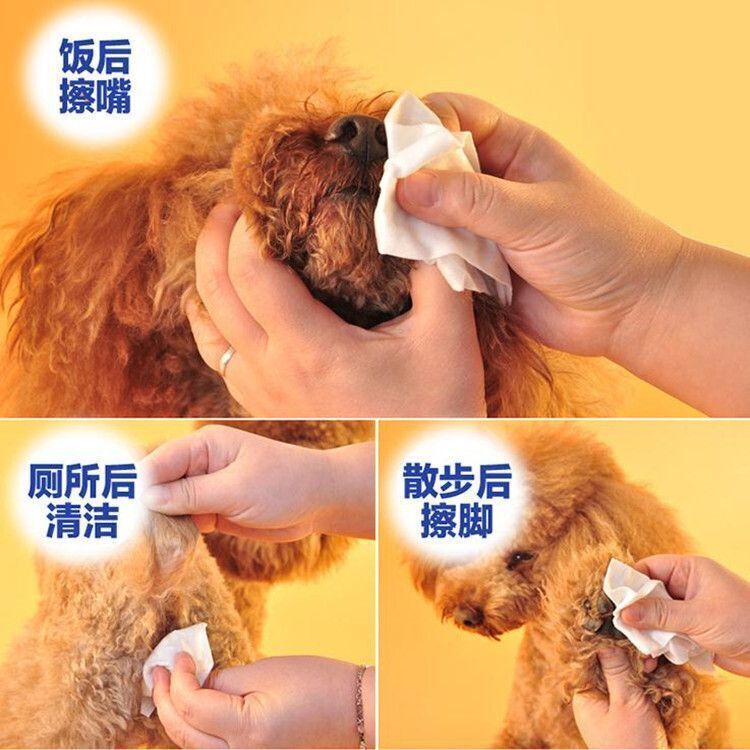 【100片 X 5包】寵物濕紙巾 加大加厚狗狗護理濕巾 狗狗淚痕 貓咪眼屎 擦手腳 毛孩清潔 除耳垢 殺菌消毒 寵物專用 犬貓兔 除臭 潔耳 除菌 消臭 濕廁紙 潔淨- View 2-ManyMart 萬嚟買