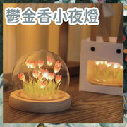 DIY郁金香小夜灯手工包送礼装饰睡眠灯LED郁金香小夜灯(20朵粉色郁金香/USB插电款/全套DIY材料包)