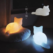 双色猫LED夜灯氛围灯少女心送女朋友闺蜜有纪念意义生日礼物