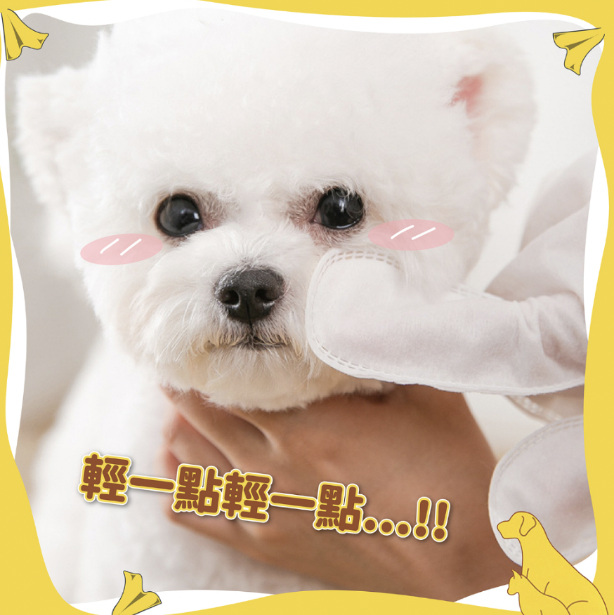 Pet wet wipes Pet dry bath Pet bath gloves Pet disposable gloves Pet dry bath Pet bath dry cleaning disposable gloves Cat dry bath Deodorizing pet wet wipes