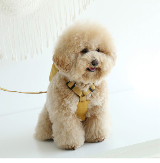 Super cute puppy print pet self-carrying backpack (with leash) can hold snacks, keys, loose silver tissues, small sundries, dog outing backpack, paparazzi, cat, universal Pomeranian Bichon leash, Teddy Corgi, small and medium-sized dog leash