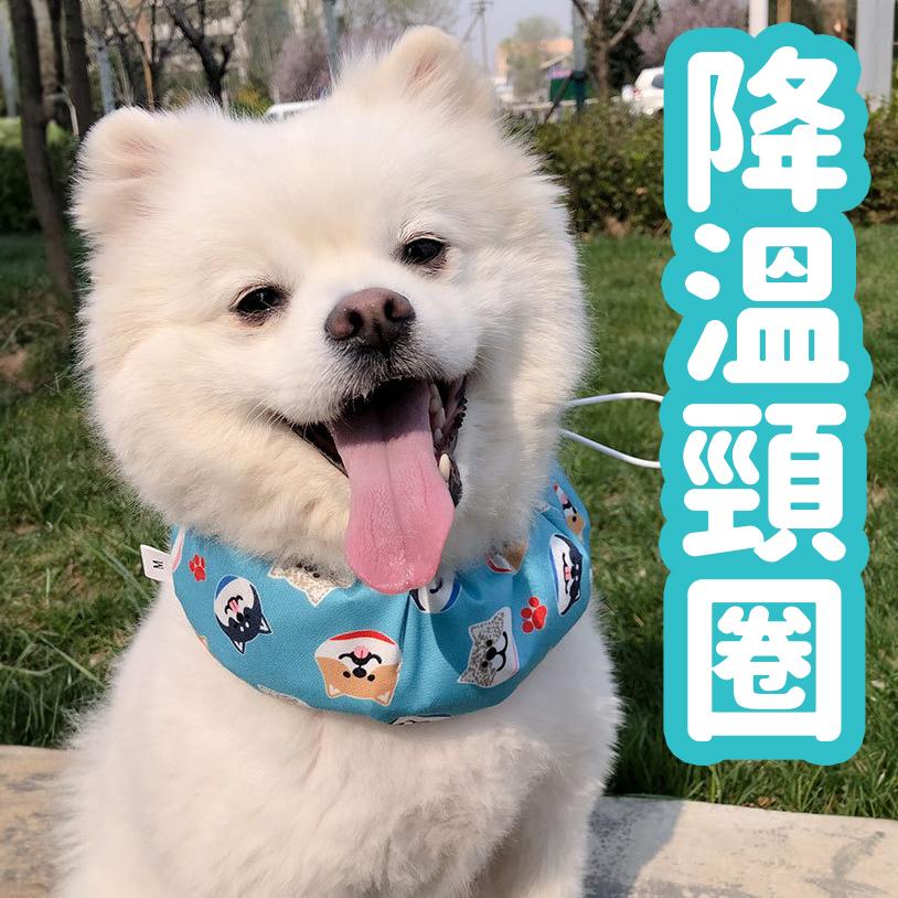 Pet cooling scarf dog summer cooling ice scarf cooling supplies
