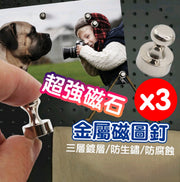 3個金屬磁圖釘 D12*16小金屬磁性圖釘 磁鐵圖釘 強磁力釹鐵硼圖釘