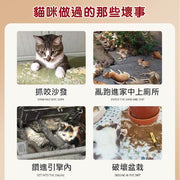 【防貓不傷貓】防貓圓頭刺墊(47x13cm)可拼接 可裁剪 安全驅貓刺釘 野貓刺釘 驅貓神器 防貓咪刺網 保護傢俬家具 防寵物狗狗網墊
