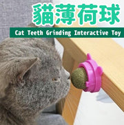 Catnip ball, cat teeth grinding and teeth cleaning interactive toy (random color), healthy snacks for cats