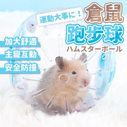 倉鼠跑步球 小寵物玩具 鼠鼠自由活動滾球 靜音滾輪 倉鼠跑輪 龍貓 松鼠 刺蝟 適用寵物 老鼠 黃金鼠 向日葵跑輪倉鼠跑輪 超靜音寵物玩具球(14厘米/透明藍) 轉輪