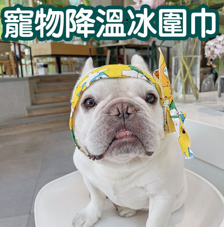 夏季寵物降溫狗狗冰圍巾貓咪圍脖絲巾物理防中暑冰涼巾 黄底小熊 抹手巾- View 1-ManyMart 萬嚟買