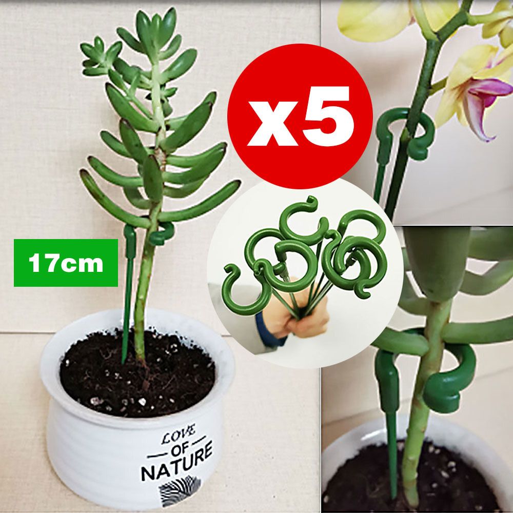 植物固定防倒伏花架子園藝支撐單桿室外花園月季爬藤繡球撐花支架 5支一套 花盆 花架- View 1-ManyMart 萬嚟買