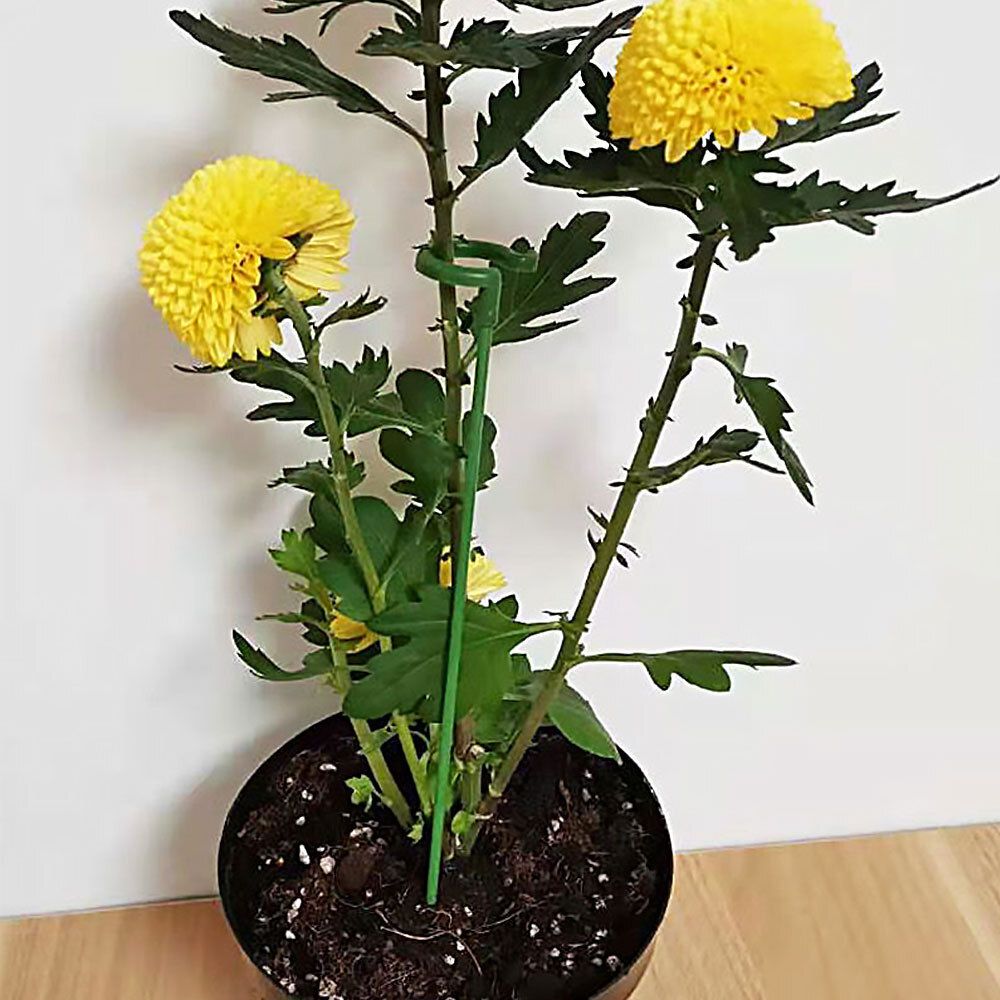 植物固定防倒伏花架子園藝支撐單桿室外花園月季爬藤繡球撐花支架 5支一套 花盆 花架- View 2-ManyMart 萬嚟買