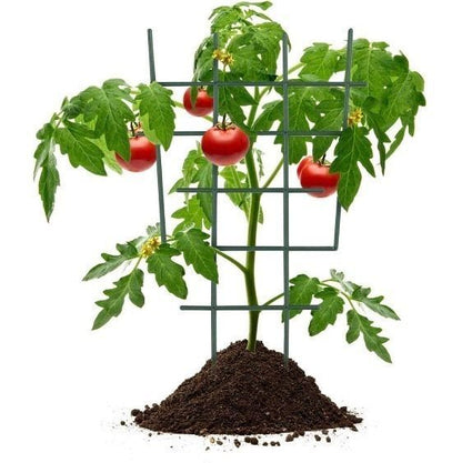 [1個裝] 園林塑膠 植物支撐架 爬藤支架 園藝工具[1個裝] 園林塑膠 植物支撐架 爬藤支架 園藝工具 花盆 花架- View 3-ManyMart 萬嚟買