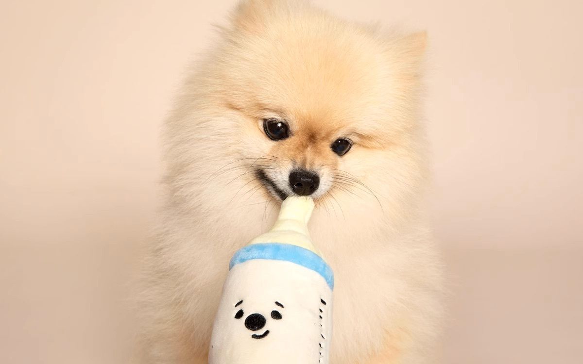 HK230905JJQT08758RMN01_1