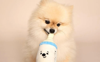 HK230905JJQT08758RMN01_1