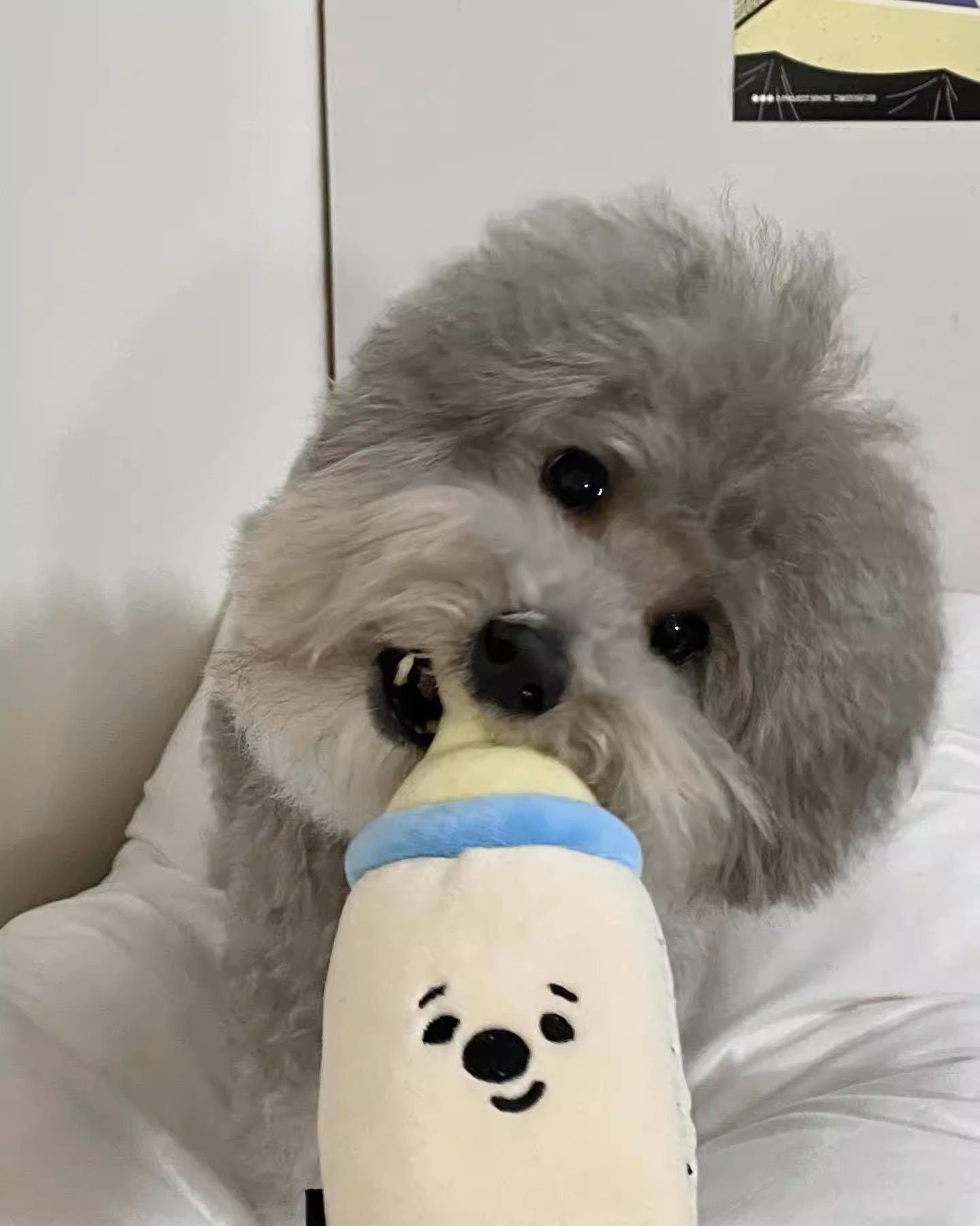 HK230905JJQT08758RMN01_2