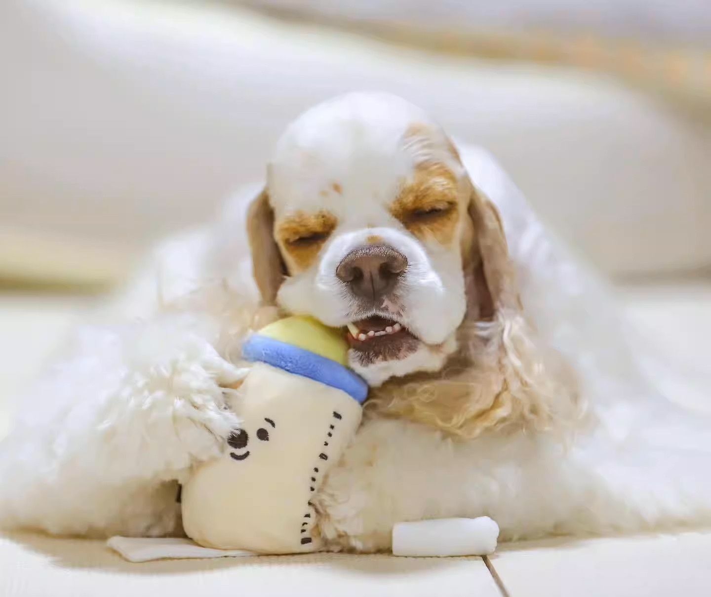 HK230905JJQT08758RMN01_3