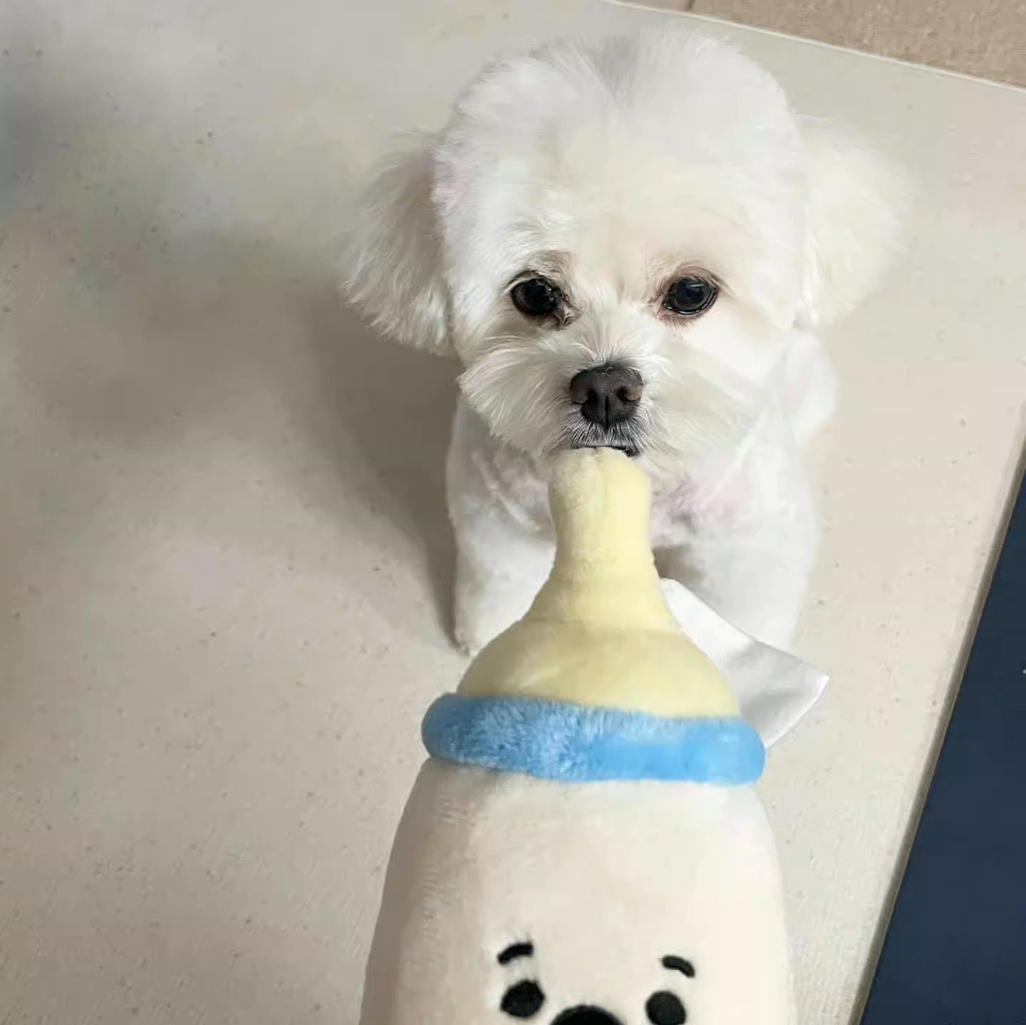 HK230905JJQT08758RMN01_7