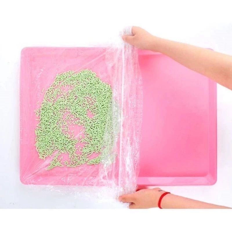 HK240829JJQT12328RMN01_13