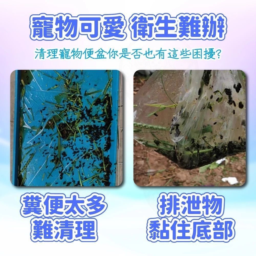 HK240829JJQT12328RMN01_5