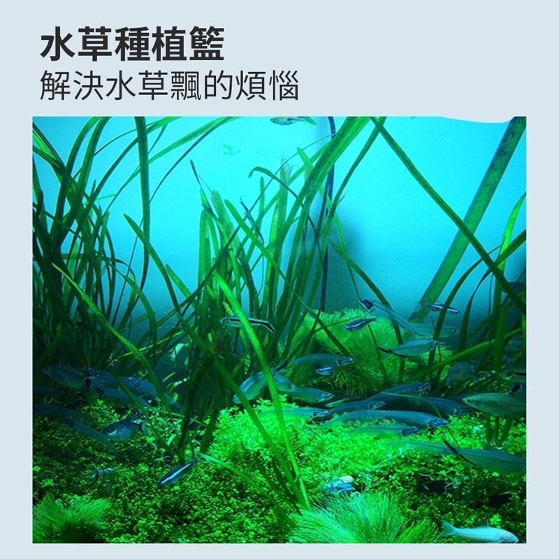 HK240912JJQT12478RMN01_3
