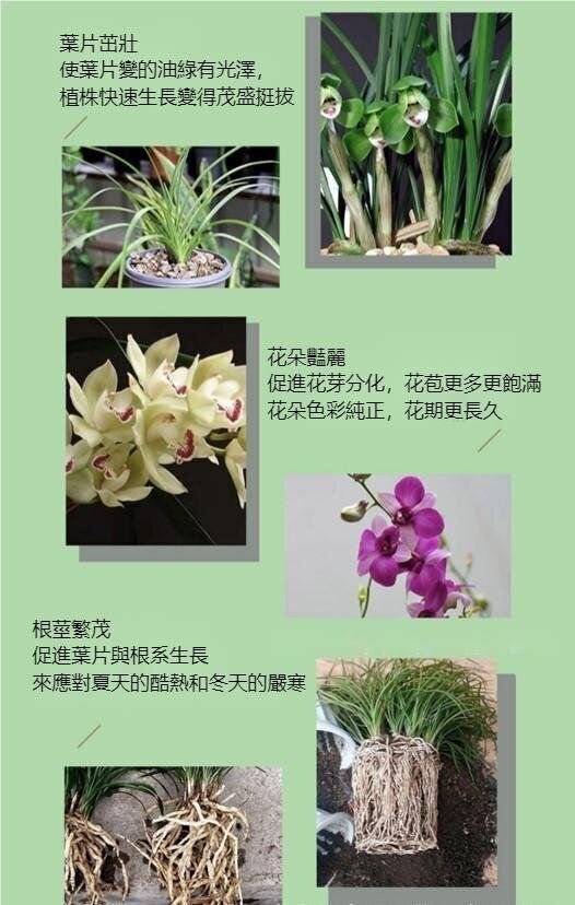 HK241008JJQT12767RMN01_2