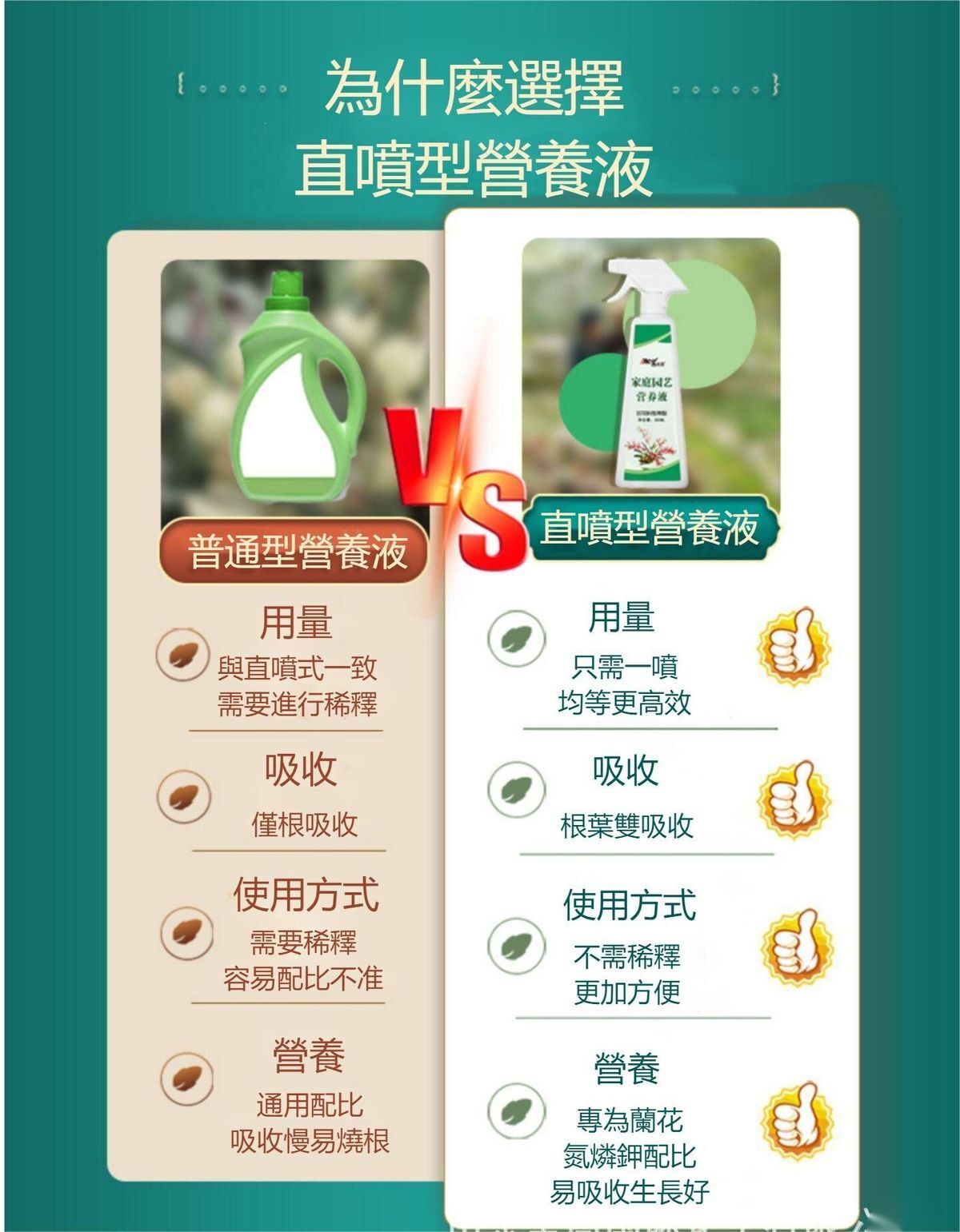 HK241008JJQT12767RMN01_3