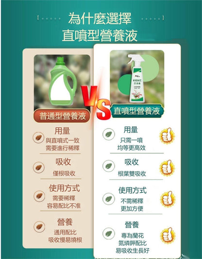 HK241008JJQT12767RMN01_3