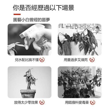 HK241008JJQT12767RMN01_4