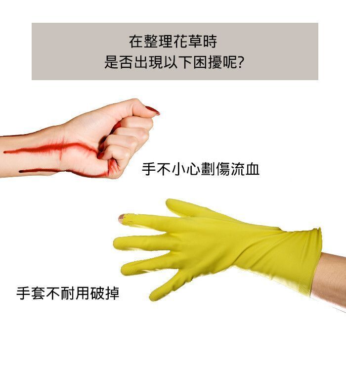 HK241021JJQT12918RMN01_3