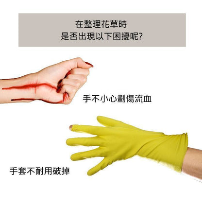 HK241021JJQT12918RMN01_3