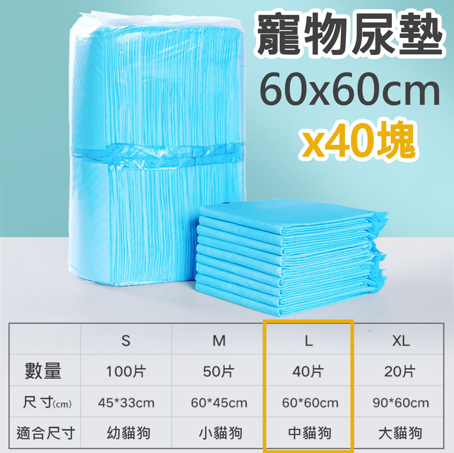 HK241022JJQT12936RMN01_0