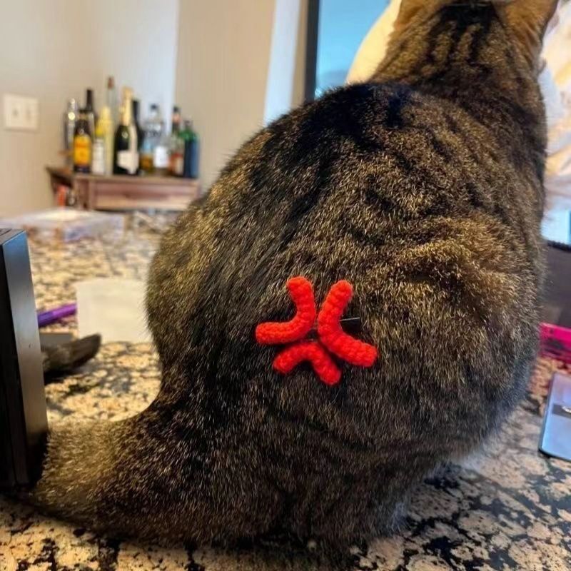 HK241022JJQT12957RMN01_4