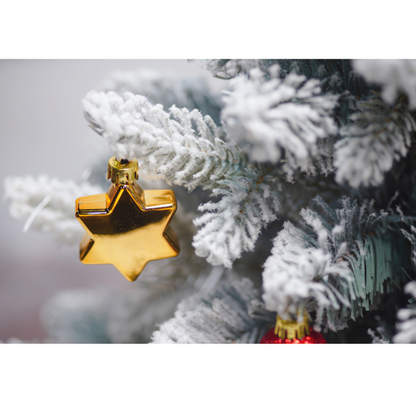 HK241101JJQT13022RMN01_4