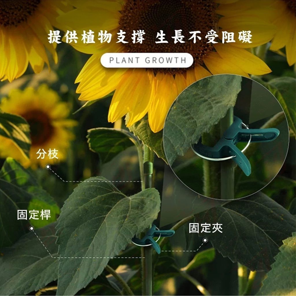 HK241113JJQT13133RMN01_6