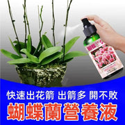 蝴蝶蘭營養液 快速促花箭開花 有機營養液 蝴蝶蘭有機肥料 防黃葉/爛根/黑斑/病葉