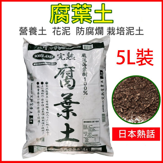 HK241113JJQT13143RMN01_0