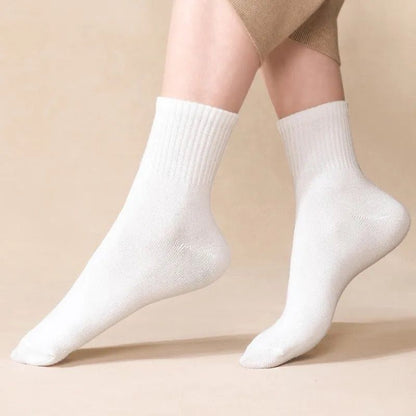 HK241125JJQT13285RMN10_1