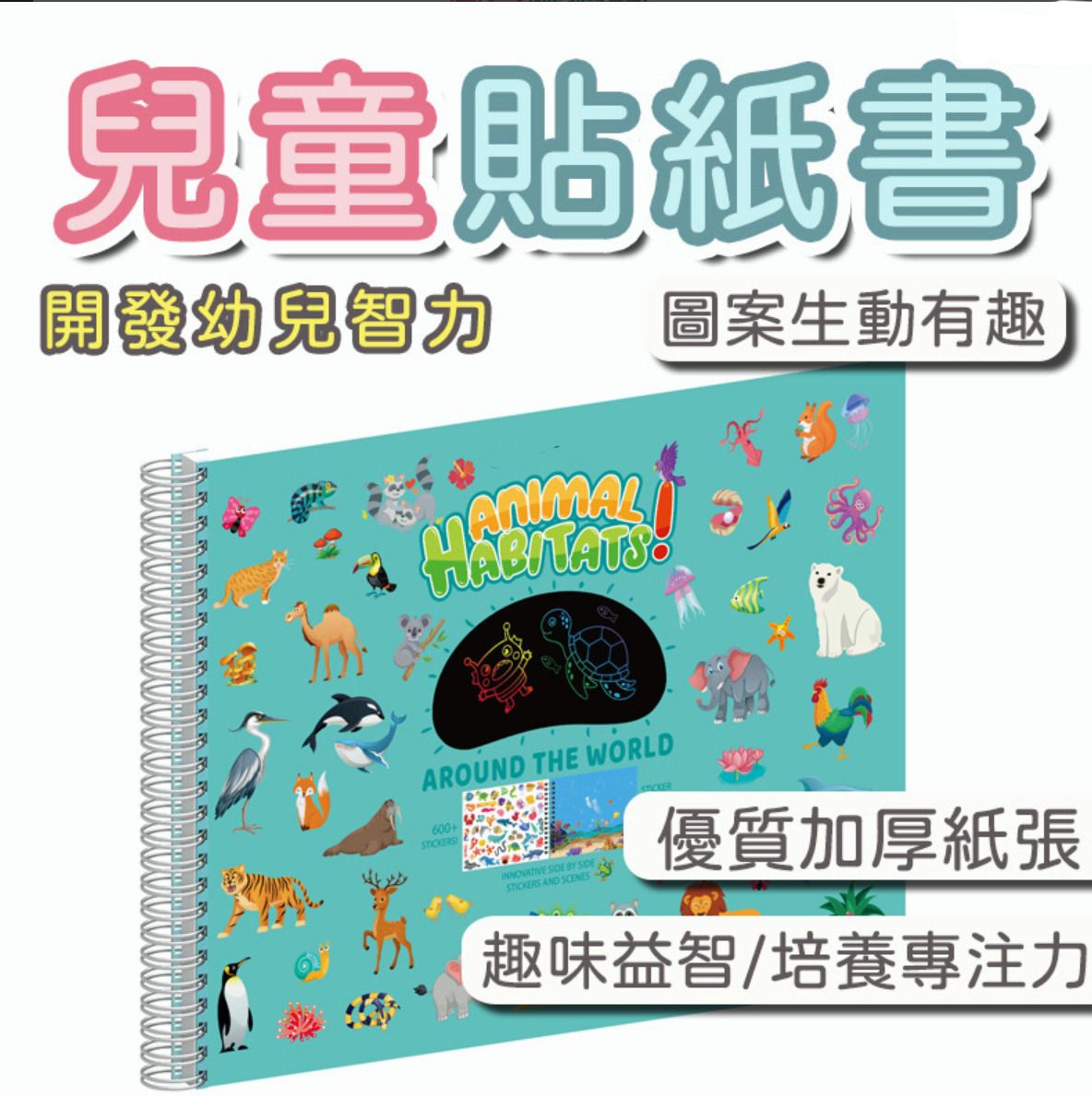 HK241210JJQT13409RMN01_0