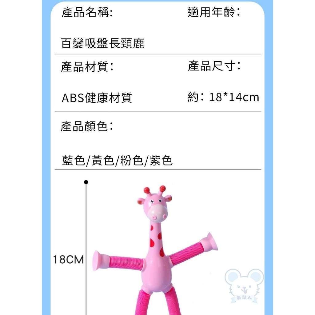 HK241220JJQT13557RMN04_2