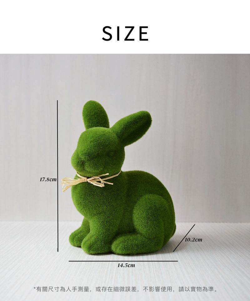 HK250224JJQT14009RMN01_3