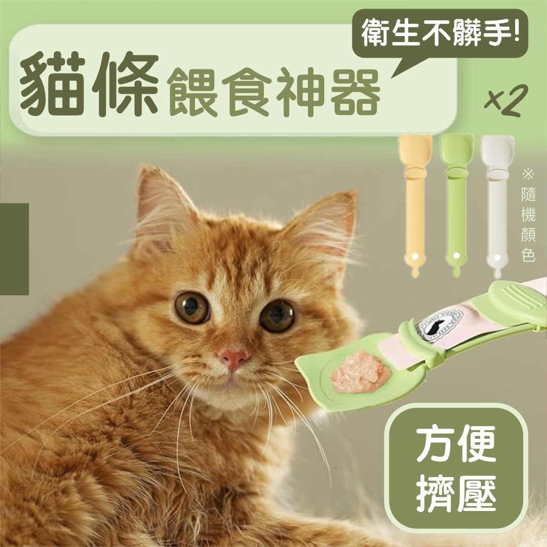 HK250224JJQT14029RMN02_0