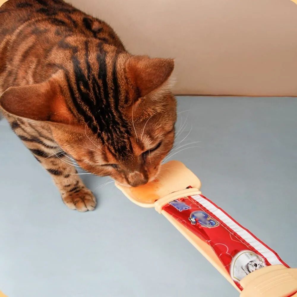 HK250224JJQT14029RMN02_4