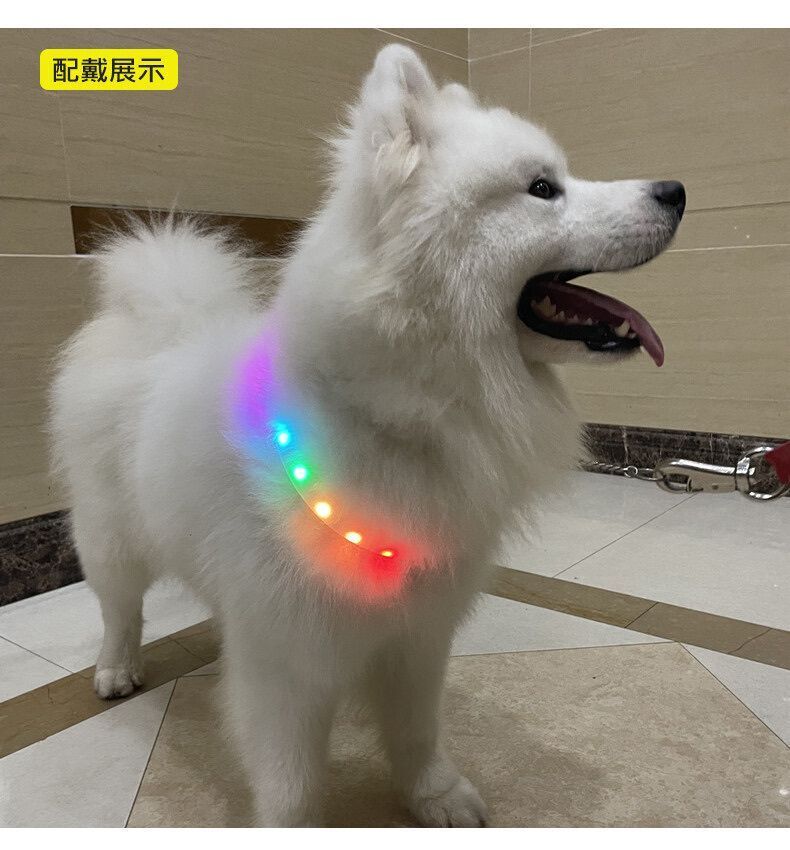 HK250224JJQT14037RMN01_7