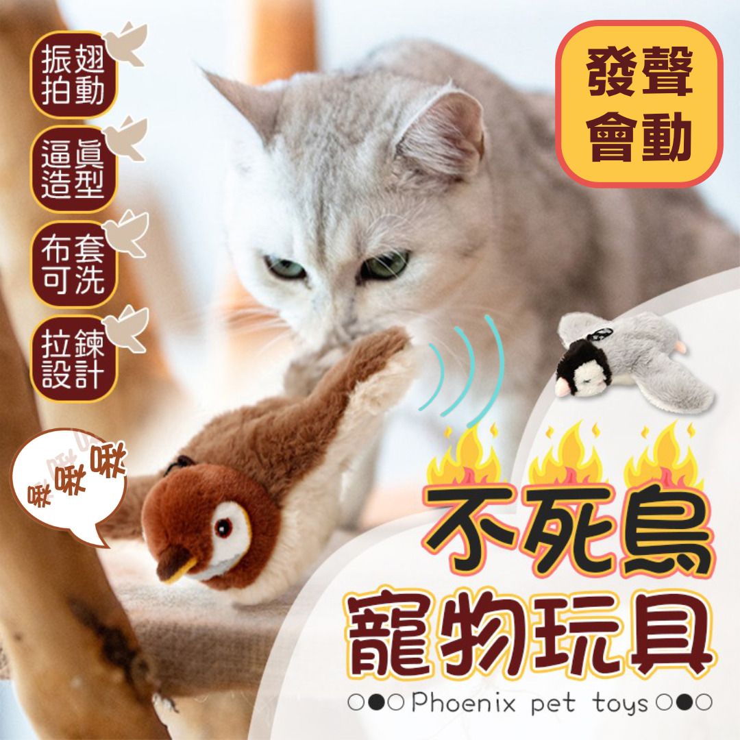 HK250224JJQT14039RMN01_0